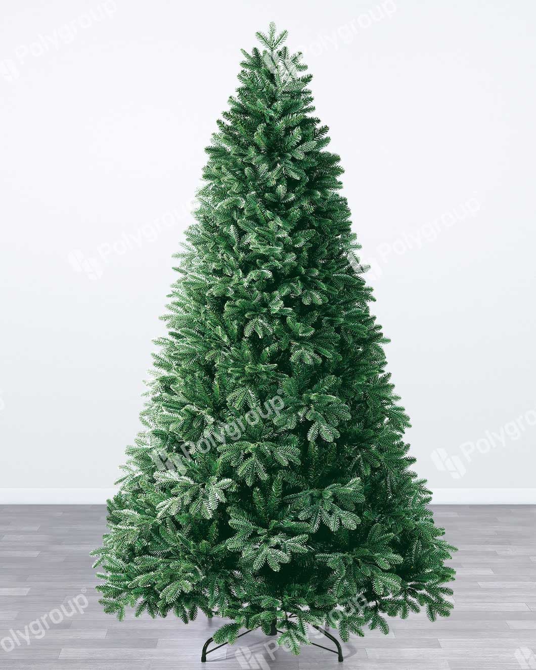 Bujna Jelka Evergreen Classics Falls Fir  180 cm