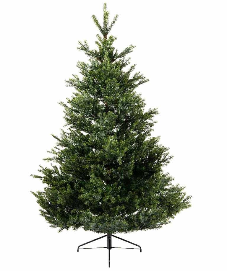 Novogodišnja jelka Everlands Arlberg fir 180cm