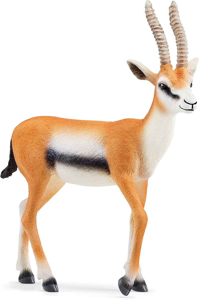 Schleich Figure Divlje životinje - Tomsonova gazela - mužjak 14861