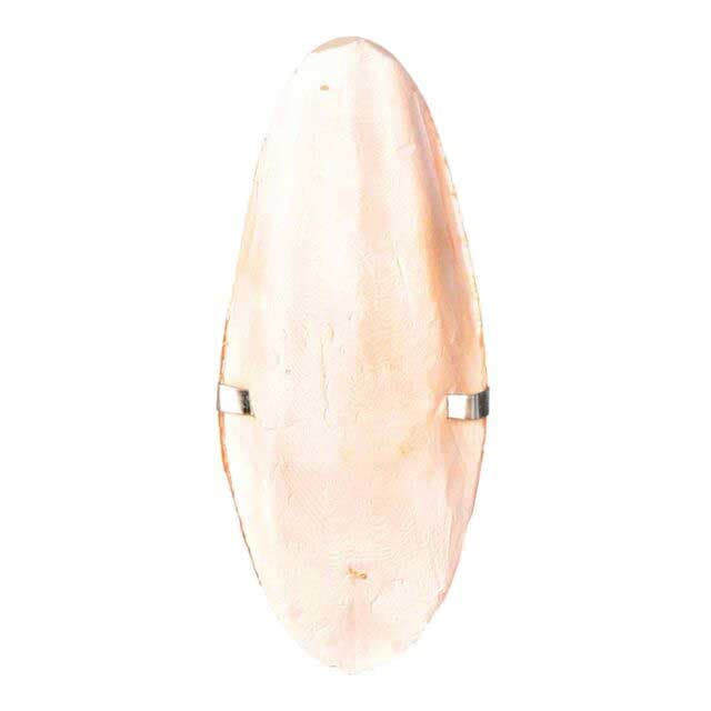 Sipina kost za ptice 16cm Trixie 5053