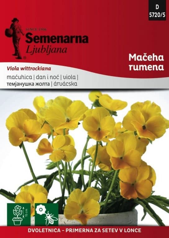Seme za cveće 10 kesica Dan i noć - žuti -  Viola wittrockiana 5720/5