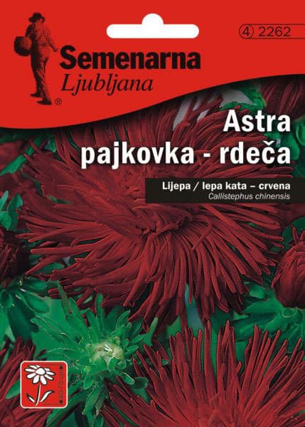 Seme 5 kesica Lepa Kata igličasta - crvena - Callistephus chinensis spider 2262