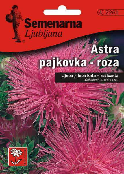 Seme 5 kesica Lepa Kata igličasta - pink - Callistephus chinensis spider 2261