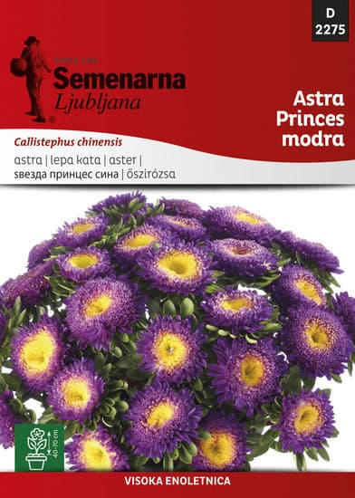 Seme 5 kesica Lepa Kata Princes - plava - Callistephus chinensis 2275