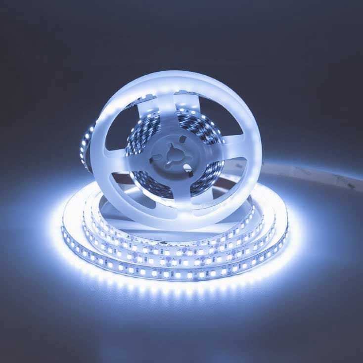 LED traka Hladno bela 6500K 5m IP20