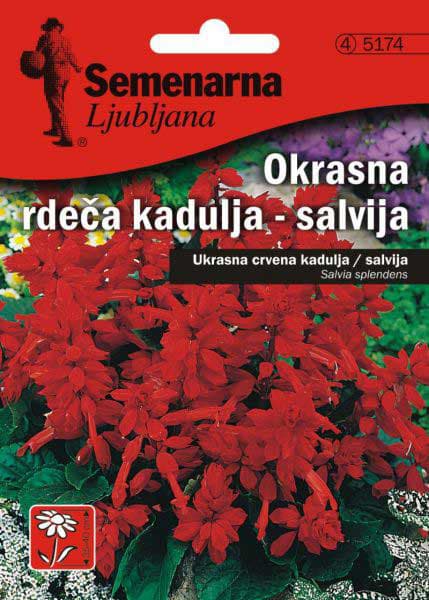 Baštensko cveće Plamena Kadulja - Žalfija - Salvia splendens 10 kesica 5174