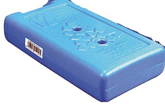 Uložak Za Portabl Frižider 350 gr - 2 Komada