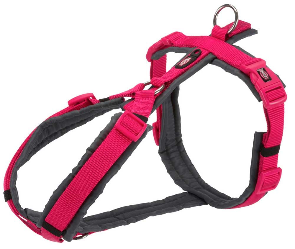 Am pojas za šetnju za pse veličina M-L Premium Trekking fuchsia/graphite Trixie 1997311