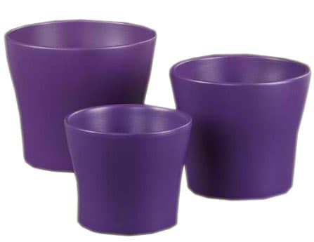 Scheurich saksija 808/17 Deep Purple SH 48545