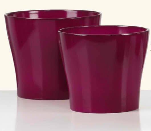 Scheurich saksija Wild Berries 808/17 SH 49860