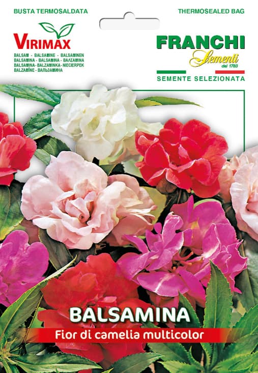 Seme za cveće Blazamina kamelija mešavina 5 kesica Franchi Sementi Virimax