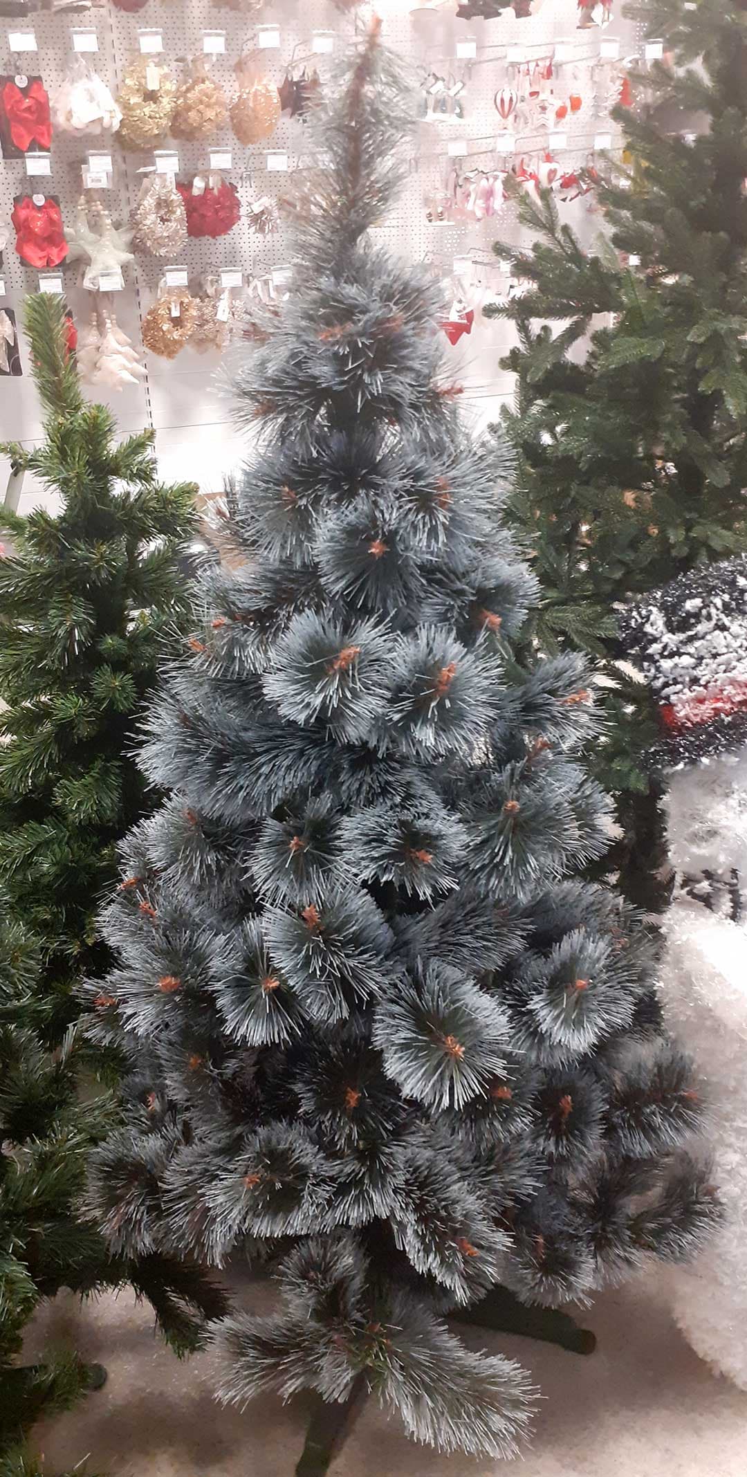 Novogodišnja Jelka - Stjordal - Gusta Sa Belim Vrhovima - Mraz - 150 cm