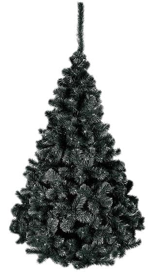 Crna Novogodišnja Jelka - Black Harmony - 250 cm