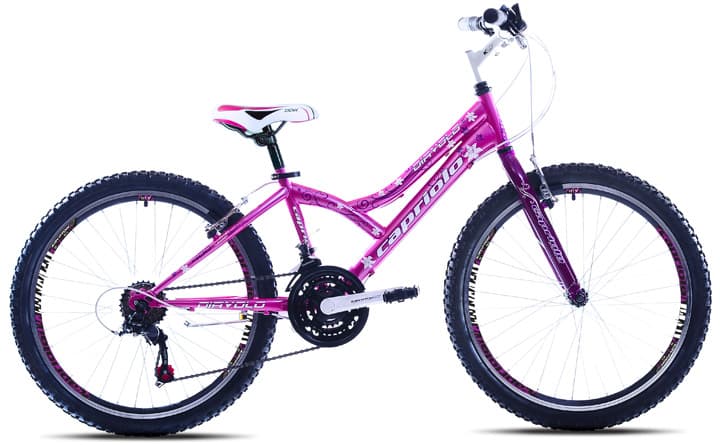 Bicikl Capriolo Diavolo 400 24/18HT pink ljubičasta 914304-13