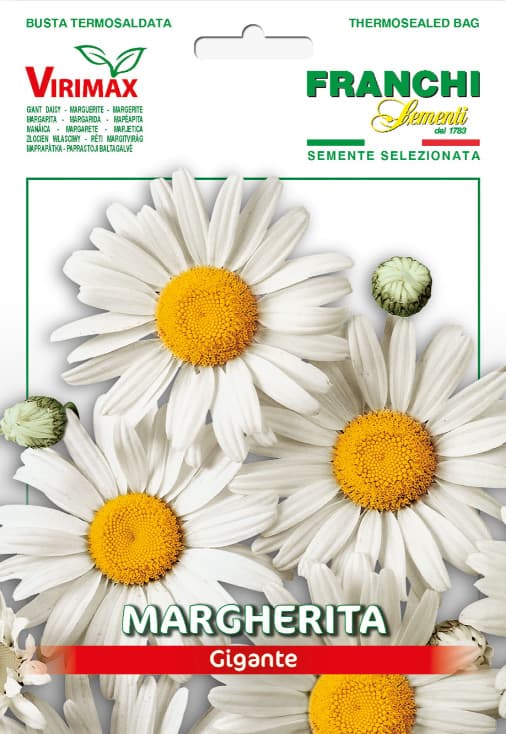 Margareta bela - seme za cveće 5 kesica Franchi Sementi Virimax