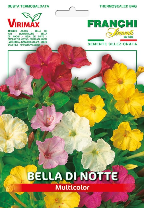 Noćna Frajla peruanska - seme za cveće 10 kesica Franchi Sementi Virimax