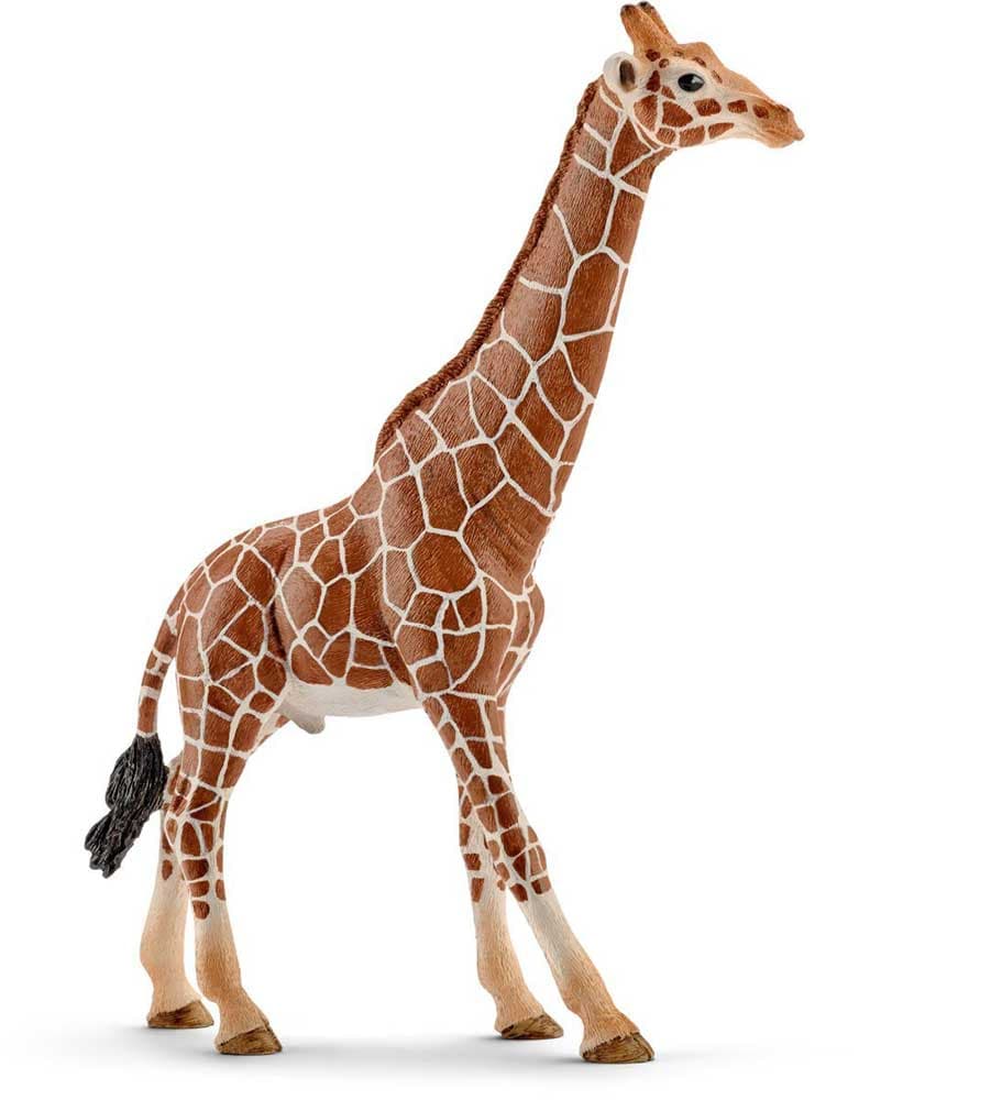 Schleich Divlje Životinje - Žirafa - mužjak