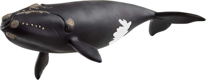 Schleich® Figure Divlje životinje Severnoatlantski arktički kit 14878