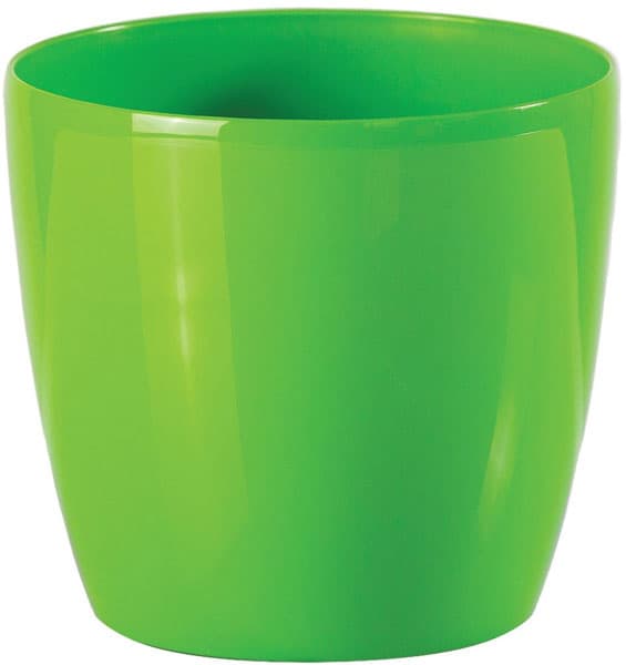 Saksija Stars 20 zelena