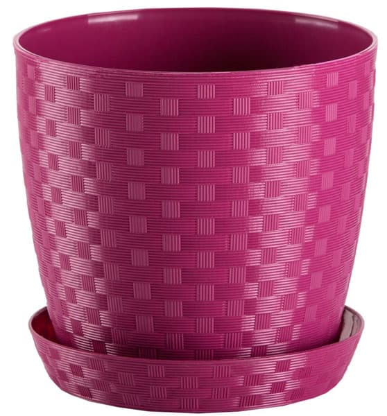 Saksija Stars ratan 20 roze