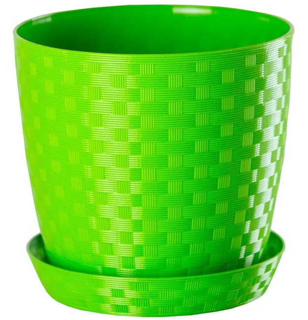 Saksija Stars ratan 20 zelena