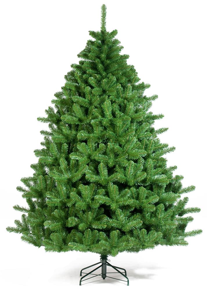 Norway Spruce Jelka Visine 240 cm