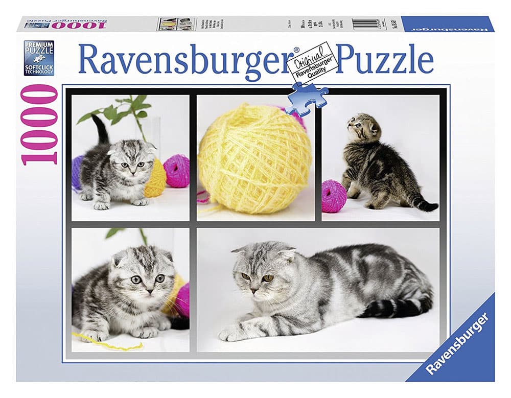 Ravensburger puzzle Animal Kingdom Collection - British ShortHair Cat 1000 delova RA19545
