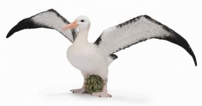 CollectA Figurice Divlje životinje - Snežni albatros CT88765