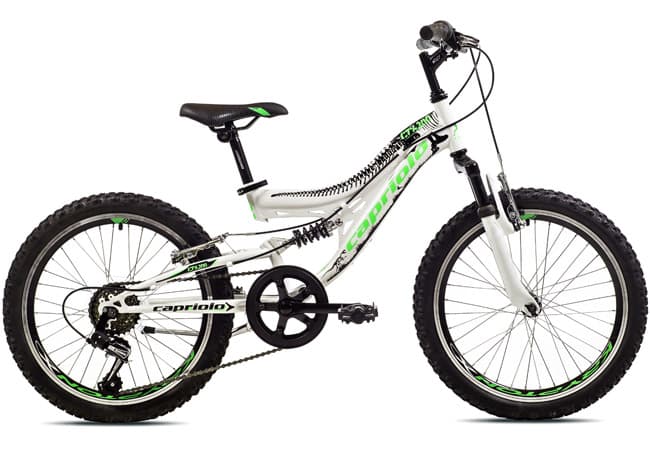 Bicikl Capriolo CTX 200 20/6HT 919331-11