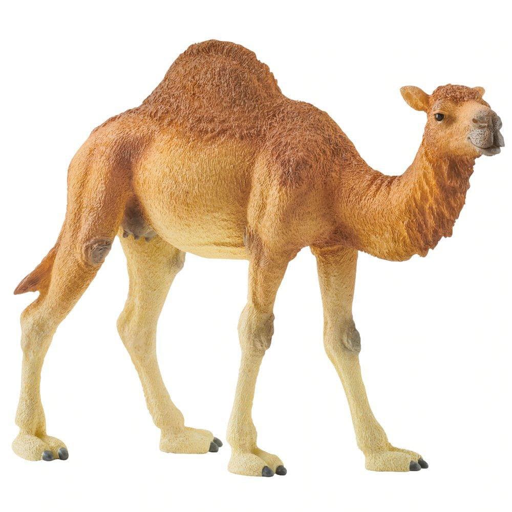 Schleich Figure Divlje životinje - Jednogrba kamila - Dromedar 14832
