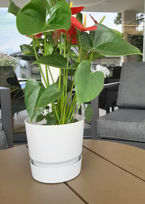 Tara saksija 17cm mermerno bela
